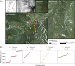 Remote sensing improves prediction of tropical montane species diversity but performance differs among taxa