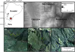 Modeling tropical montane forest biomass, productivity and canopy traits with multispectral remote sensing data