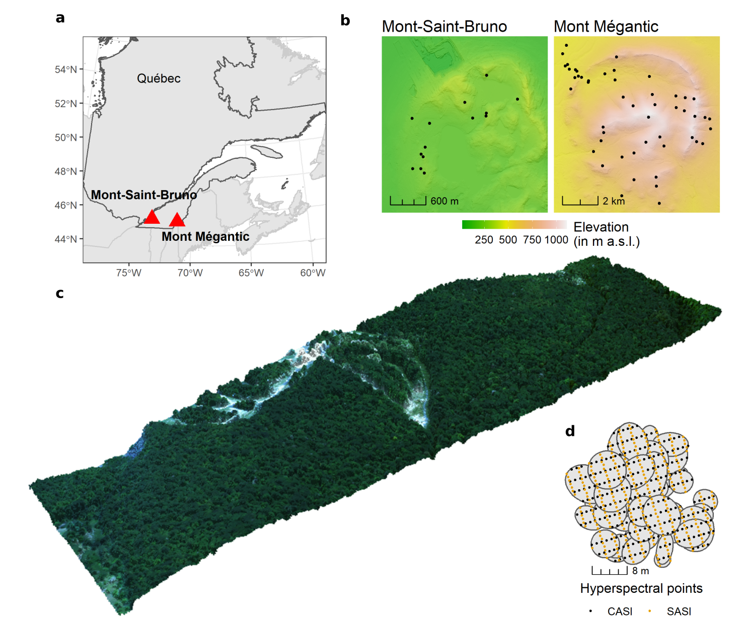 Study plots at the two forested CABO sites: Parc national du Mont-Mégantic and Mont-Saint-Bruno.